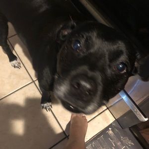 Meet your Posher, Lacey